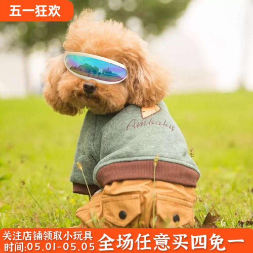 防水防风防晒防紫外线猫咪眼镜