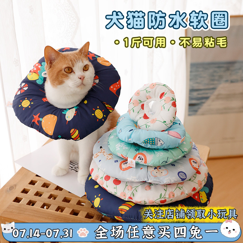 猫咪头套伊丽莎白圈宠物公猫母猫