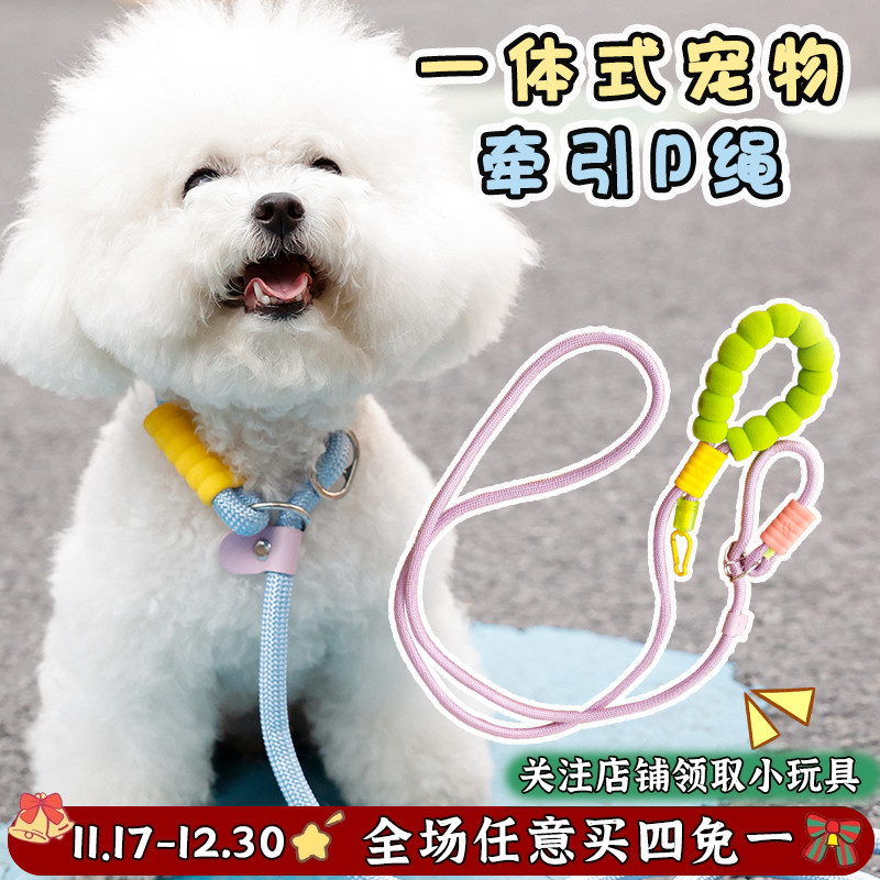 【Ins风】P绳溜狗训犬牵引绳