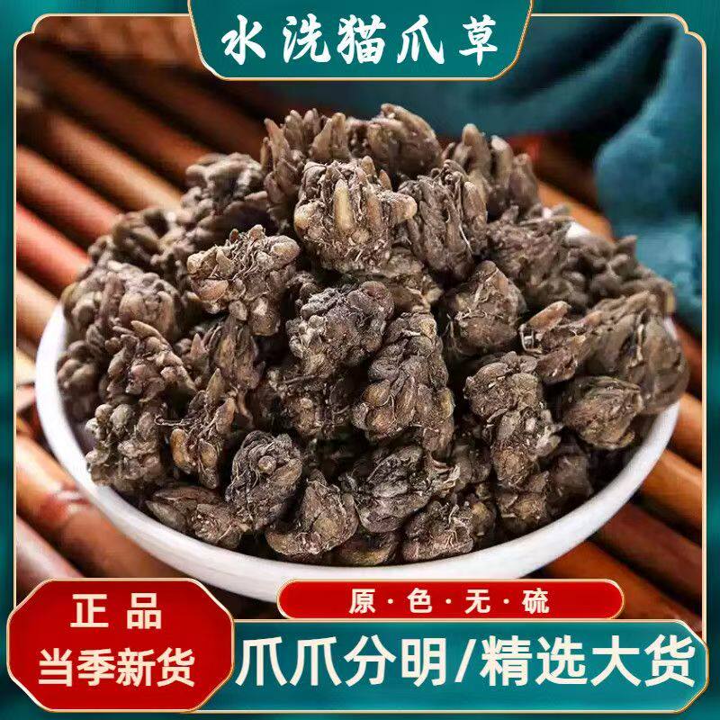 无硫猫爪草500g克中药材正品水洗猫爪草水洗三遍猫爪草 三散草