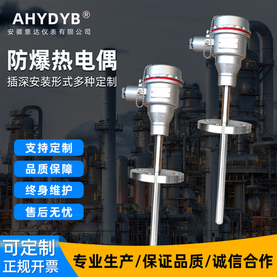 防爆热电偶可定制热电偶