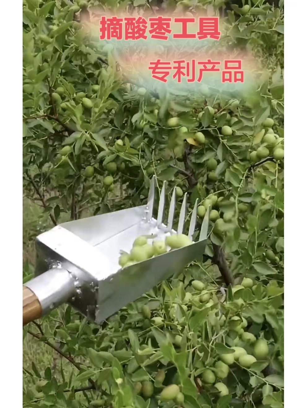 摘酸枣工具小巧轻便采摘快