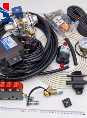 LPG/CNG汽车油改气改装小充气阀DIGI套件燃气汽车配件