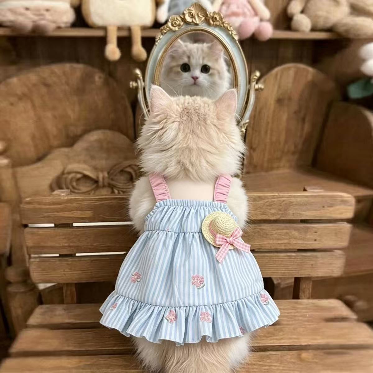 宠物衣服可爱软萌吊带裙夏季小型犬狗狗猫咪公主风连衣裙子金渐层 - 实物图