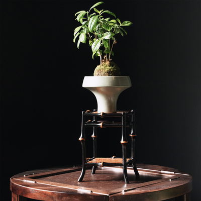 筇竹桌面花架兰几菖蒲花台禅意茶室茶棚中式茶道配件