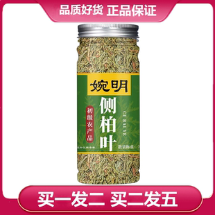 婉明侧柏叶70克侧柏叶侧柏叶粉柏树叶侧柏叶