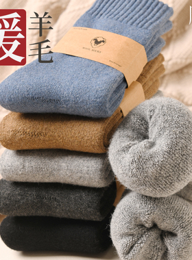 厚袜子男冬款羊毛袜加绒加厚冬季保暖毛圈男士中筒袜超厚羊绒长袜