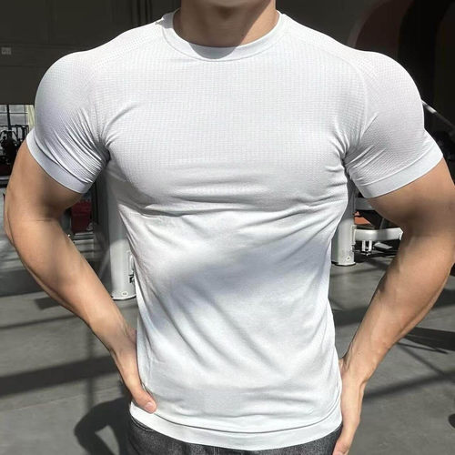 男士健身衣运动短袖高弹