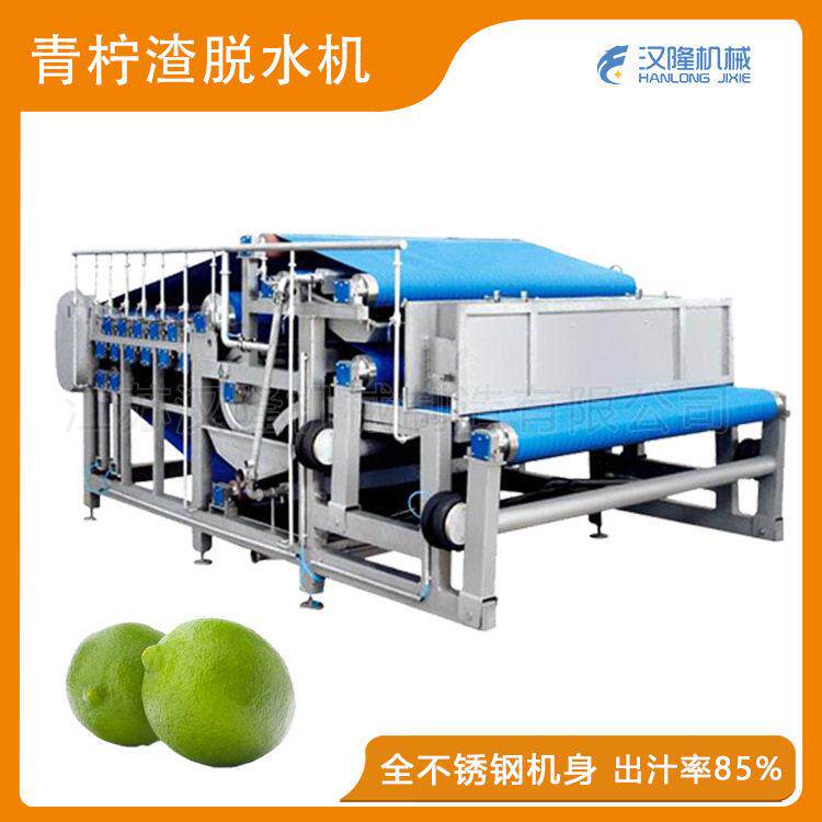 厂供饮料生产设备大型工业水果压榨机黄桃子水蜜桃履带式榨汁机