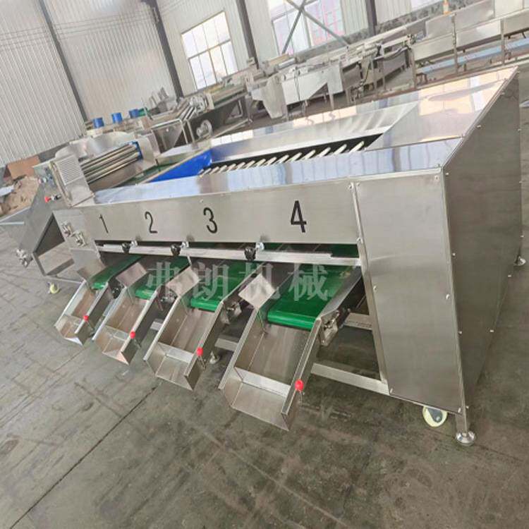 龙眼滚杠分级机 百香果大小分选机 厂家直供质量放心 水果分级机