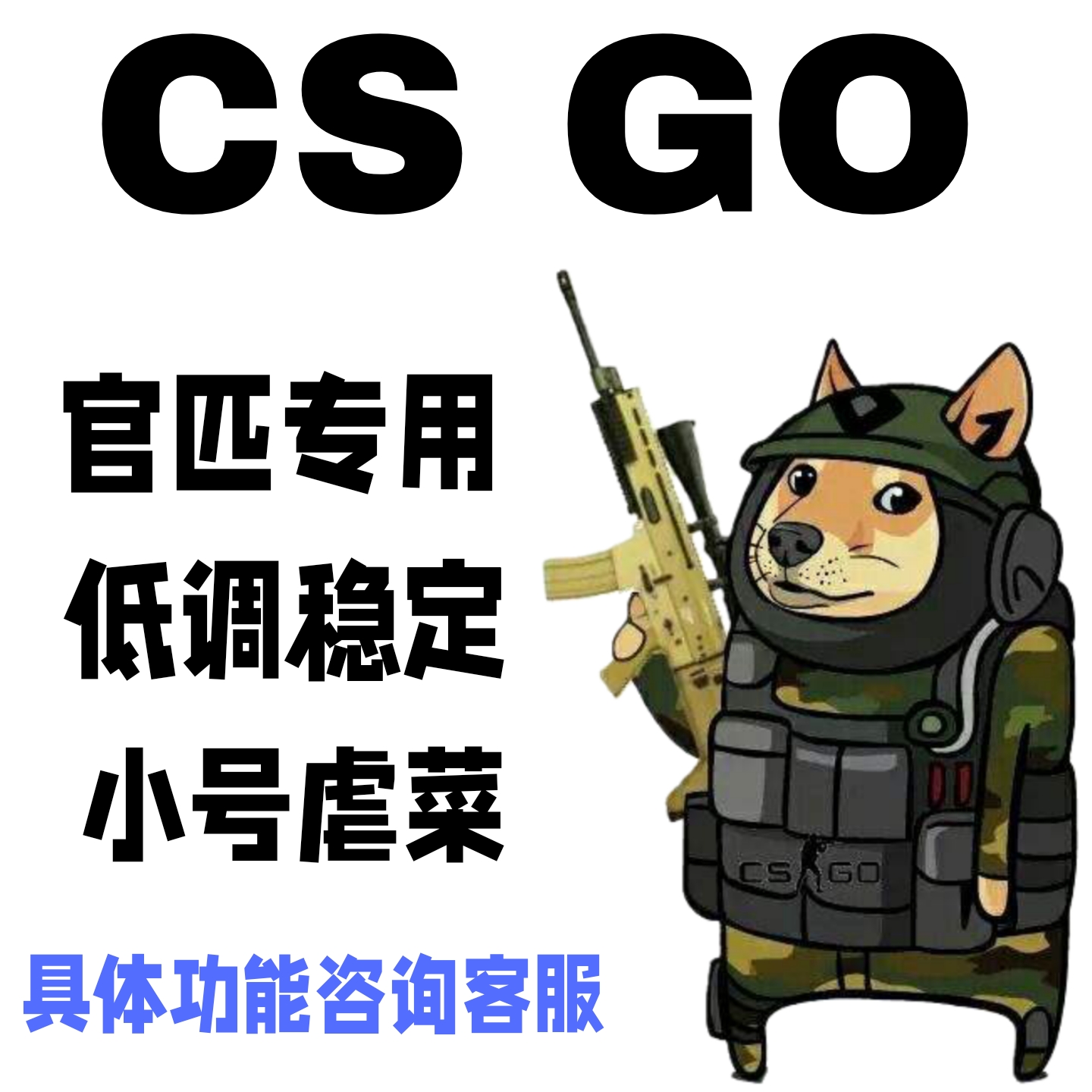 CSGO官匹Steam可用非大陀螺低头仅低调功能小号畅玩周卡搬运