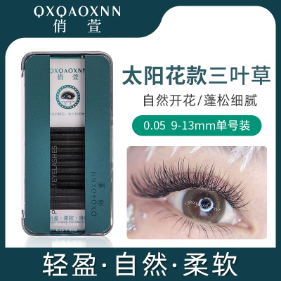嫁接睫毛三叶草太阳花YY型不散根