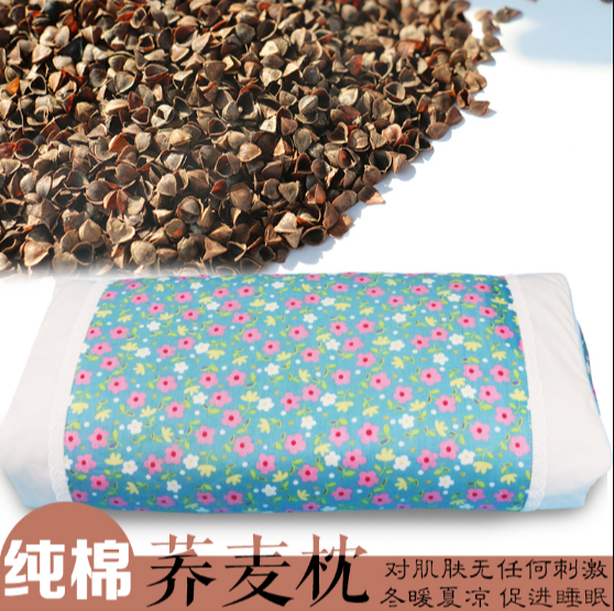 荞麦壳韩版碎花枕头枕芯午睡抱枕全棉护颈枕成人全荞麦枕头包邮