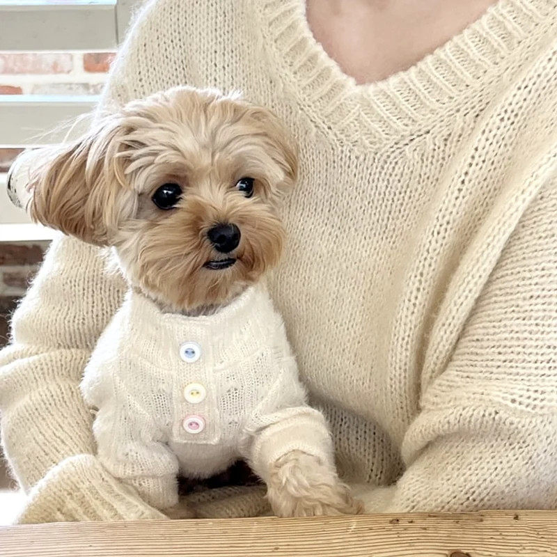 小体泰迪专用衣服比熊博美小鹿犬狗狗秋冬季冬天加绒保暖针织毛衣