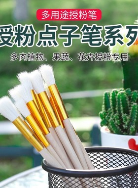 人工授粉笔授粉器草莓多肉西红柿无花果树授粉花粉点花授粉刷
