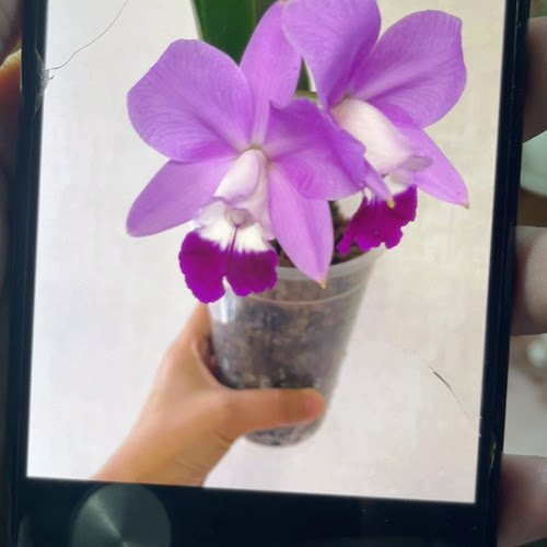 直播间专属付款链接  一物一拍  包邮包售后