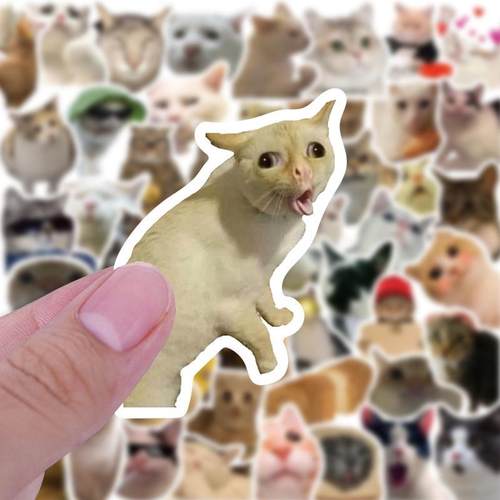 搞怪猫咪神烦狗可爱沙雕搞笑个性