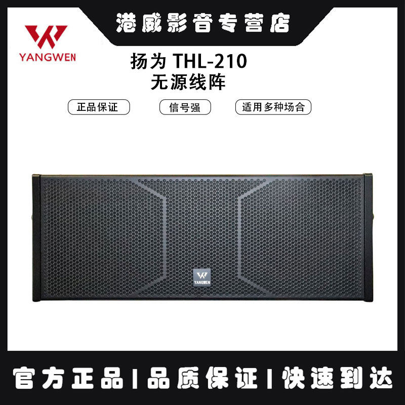 扬为 THL-210 无源线阵 大功率 舞台音箱音响