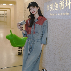 长袖牛仔连体裤女春秋季2025新款小个子设计感宽松休闲阔腿连衣裤图片