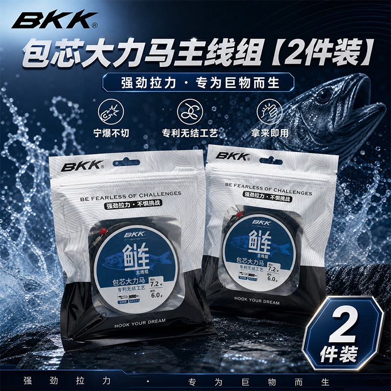 BKK鲢鳙无结加固主线组2件装