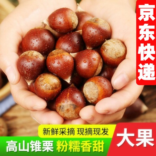 2026来自福建建瓯板栗生新鲜栗子