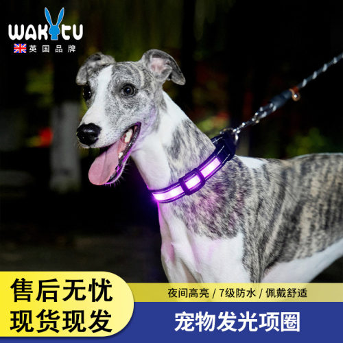 Wakytu英国狗狗发光项圈 夜间遛狗大小型犬防丢夜行灯宠物充电灯