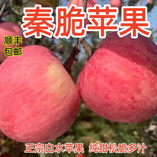 秦脆苹果正宗白水苹果脆甜