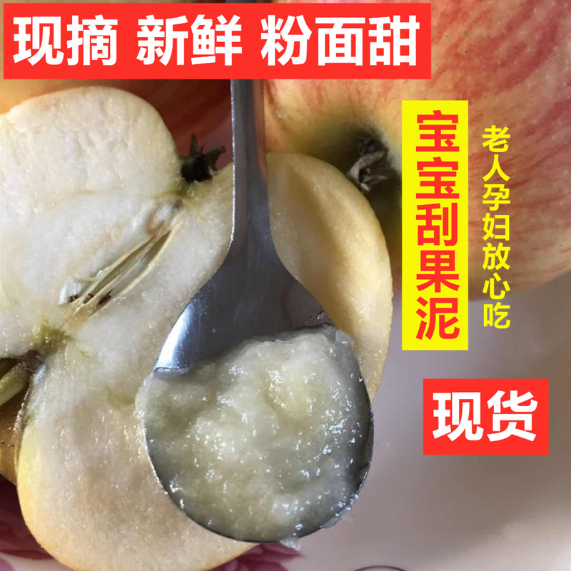 2026新果现货陕西粉面沙甜苹苹果