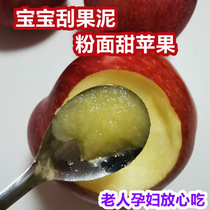 现货新果红香蕉粉面沙甜苹果宝宝刮泥婴儿老人吃的绵新鲜水果孕妇