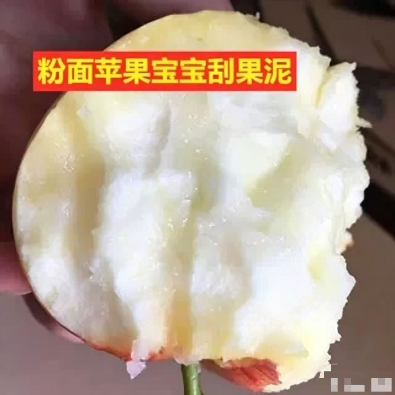 2026新果粉面沙甜苹果
