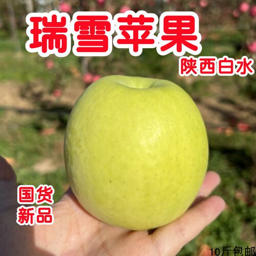 顺丰陕西白水瑞雪苹果脆甜