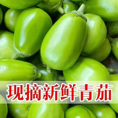 河南农家自种新鲜青茄子9斤包邮