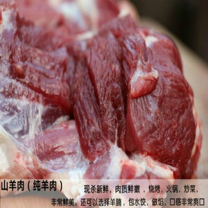 苏北农家正宗山羊肉新鲜羔羊肉纯羊肉500g，2件起拍哦