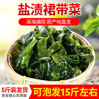 大連當(dāng)季頭茬裙帶菜葉大連特產(chǎn)