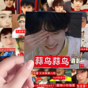 160张宋亚轩刻薄表情包贴纸创意趣味搞怪梗图小海螺专属贴画手账
