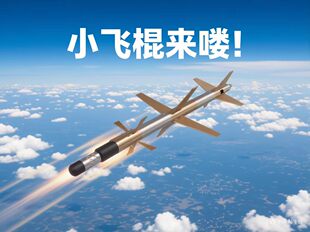 伊朗小飞棍伊朗358巡飞弹模型摆件科普教学展示收藏需要自己拼装