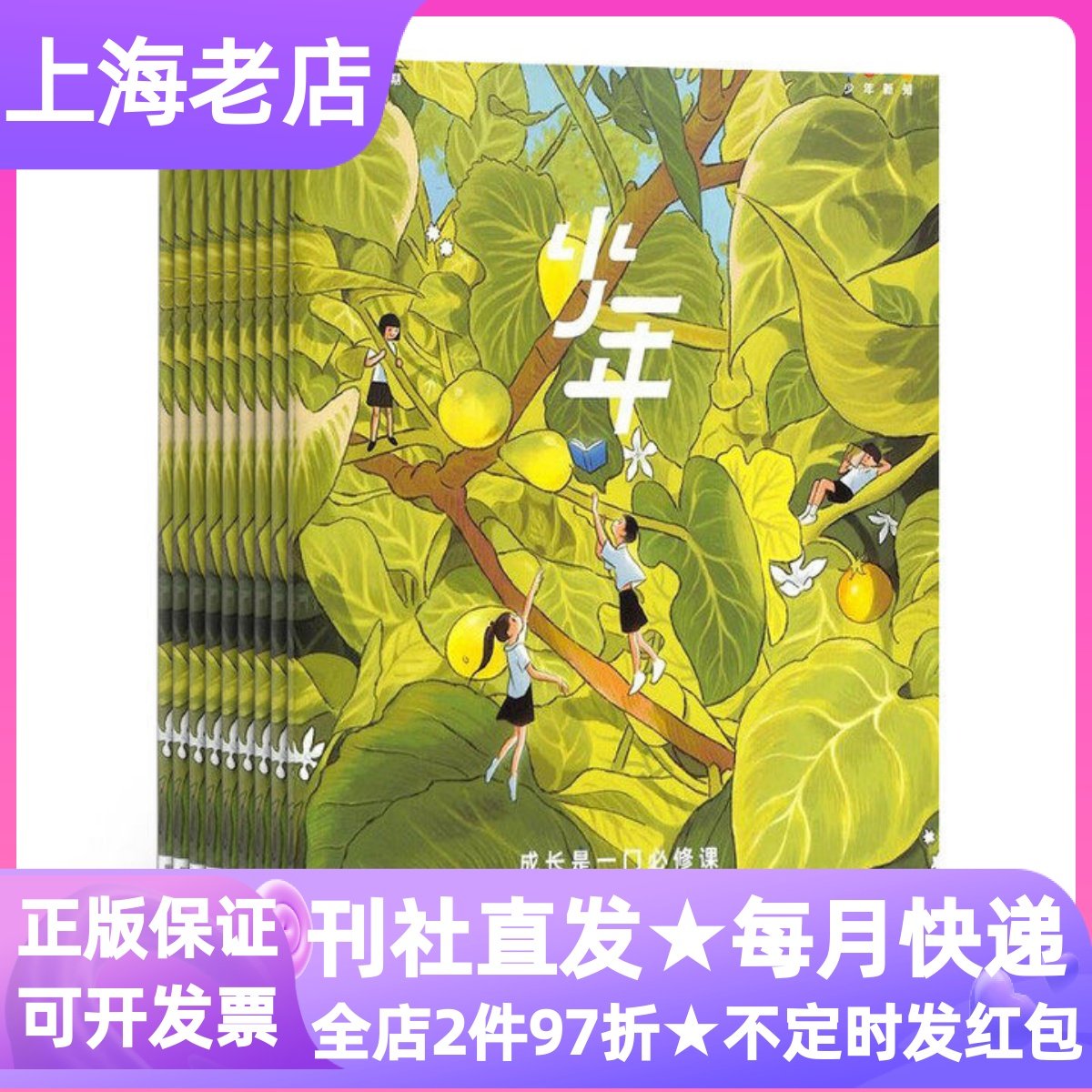 少年新知杂志期刊三联生活周刊青少年版人文启蒙课外书2026年征订阅漫画9-10-11-12-13-14-15-16岁小学中高年级初中读物