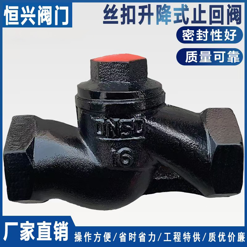 H11T-16升降式卧式止回阀 铸铁内牙丝扣单向阀DN25 40 50 6分 1寸