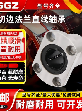 RSGZ直线轴承C- LHFCF 6 8 10 12 16 20 25 30 35 40 代替米斯米