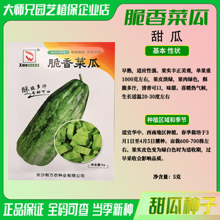 脆香菜瓜种子早熟耐热香甜绿瓤酥本地沙瓜新香玉菜瓜甜瓜籽