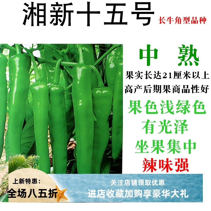 湘研辣椒种子湘新十五号中熟长牛角型品种高产抗病辣味强