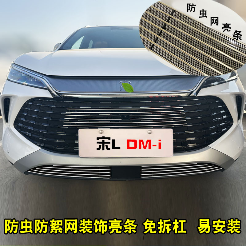 比亚迪宋Ldmi中网改装防虫网装饰