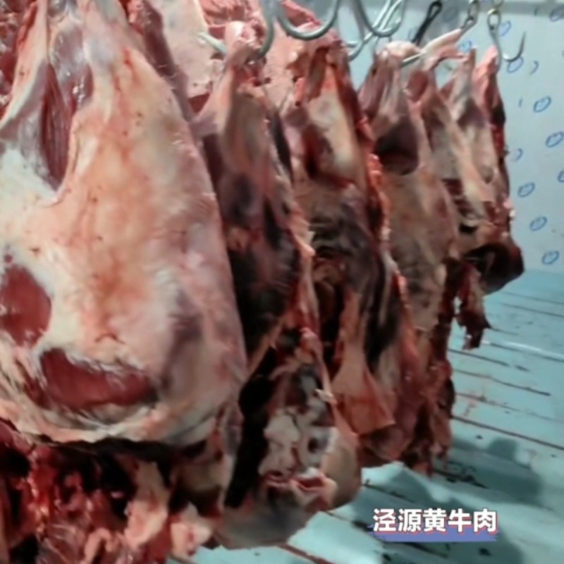 宁夏特产泾源黄牛肉5斤牛腿肉新鲜现杀清真食品红烧烤西北草膘牛