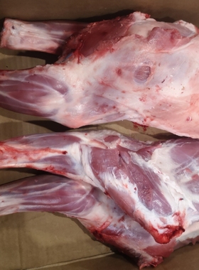 陕北羔羊肉羊前腿6斤新鲜现杀清真散养滩羊肉烤羊腿生鲜冷冻顺丰