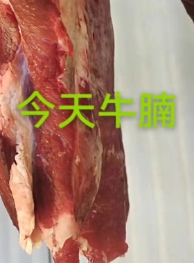 宁夏特产新鲜现杀泾源黄牛肉牛腩5斤清真草饲散养地理标志冷冻空Y