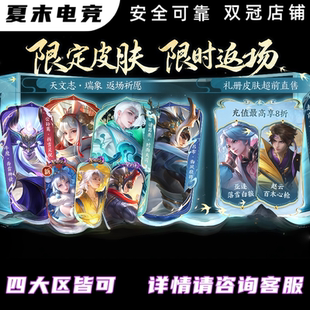 王者公孙离祈雪灵祝寒羽凝歌诸葛亮时雨天岁灵司奔雷神使星元皮肤