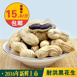 射洪特产黑花生 2016新鲜带壳生黑花生米粒饱满可做种子散装包邮