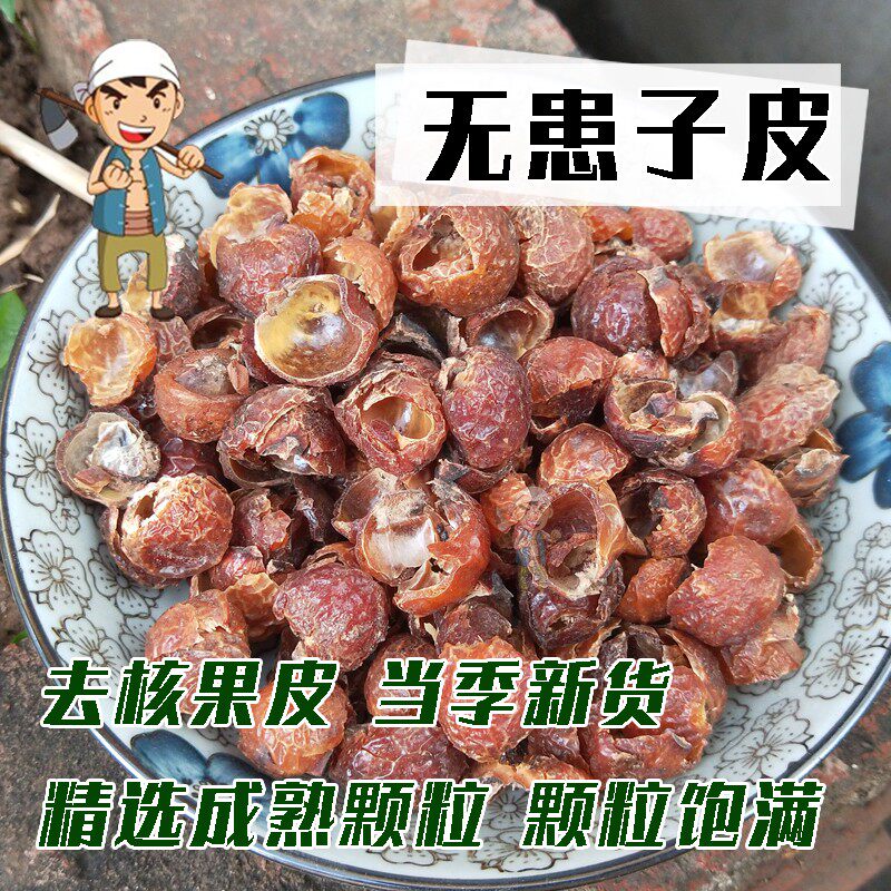 新鲜无患子天然野生无患子