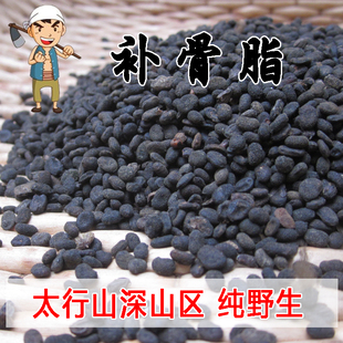 太行山野生补骨脂500克包邮 可代磨补骨脂粉/炒盐补骨脂颗粒