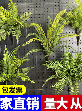 高档仿真绿植假波斯草装饰背景墙植物墙造景塑料花高枝蕨类绿萝